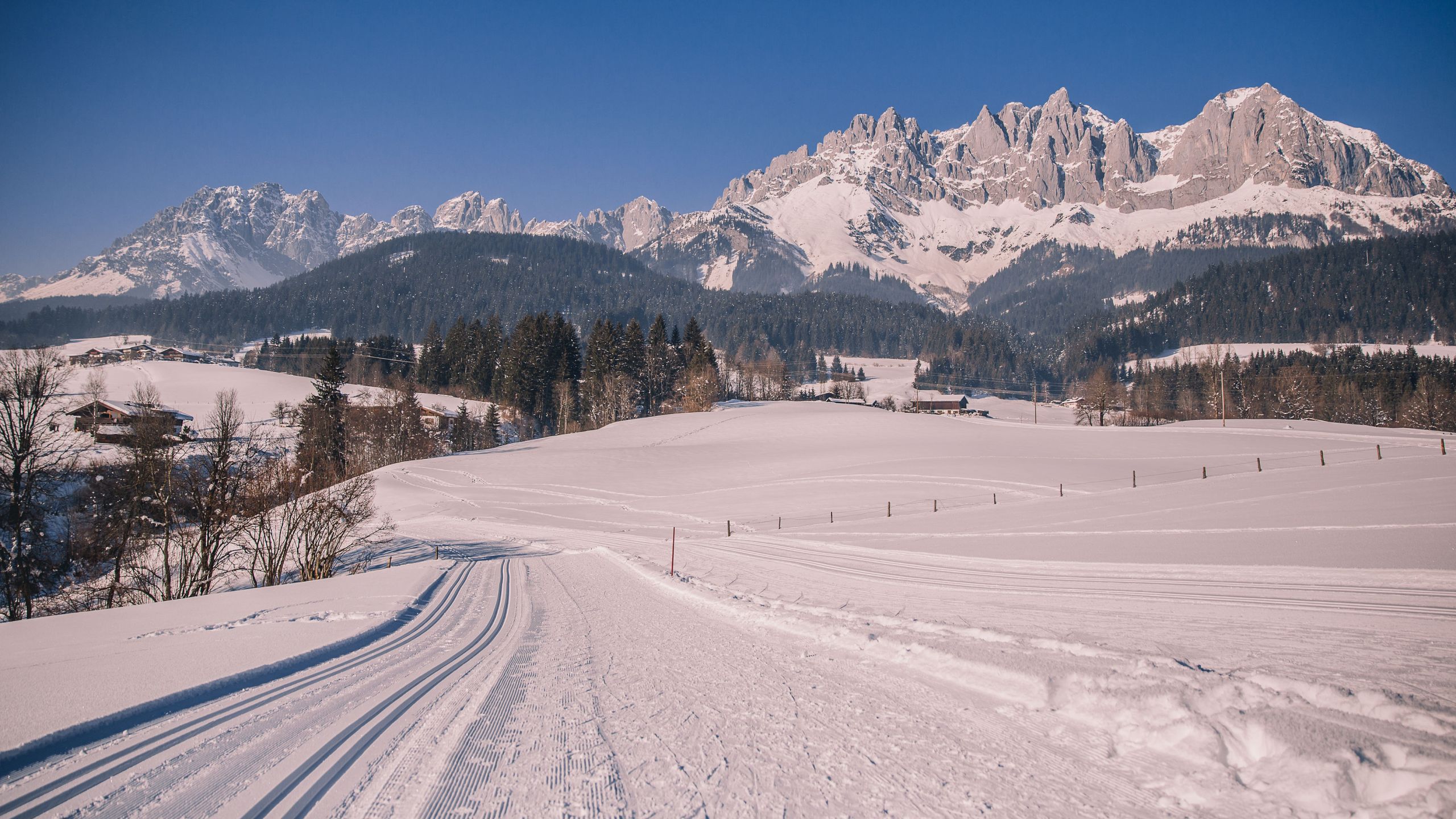 Langlaufen Biathlon in Tirol beim Stanglwirt mit Profi