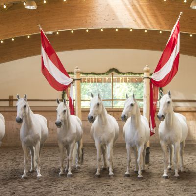 Lipizzaner Reitschule