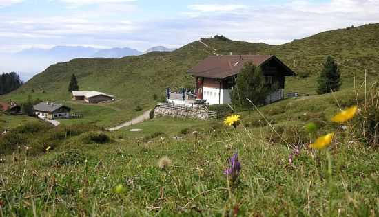 Walleralm alpine pasture