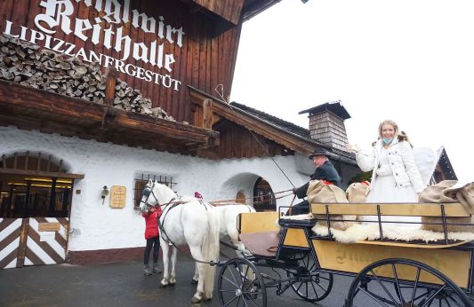 Christkindl unterwegs mit den Lipizzanern