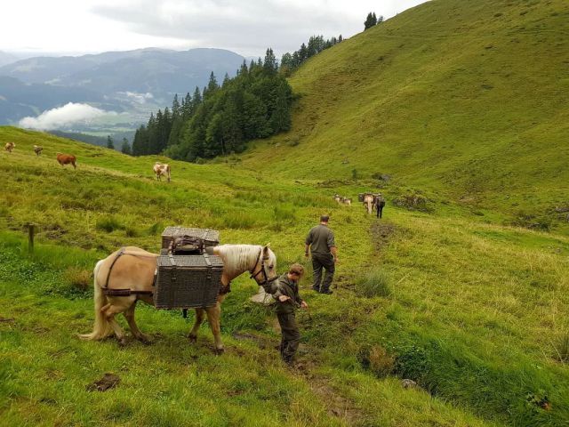 Bundesheer