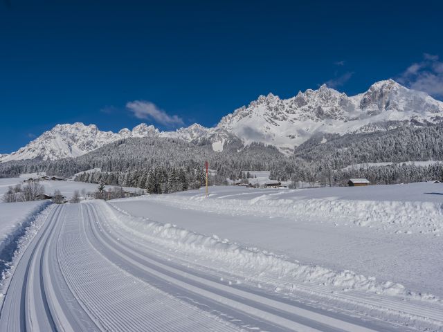 Am Wilden Kaiser