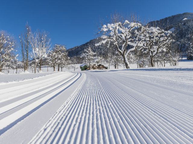 Tyrolean winter holiday