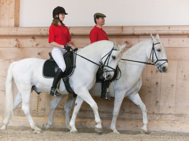 Reiten im Lipizzanergestüt Stanglwirt