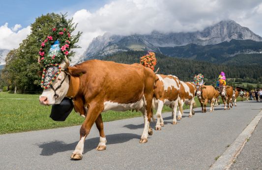 Endlich im Tal angekommen