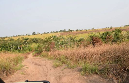 Die Straße nach