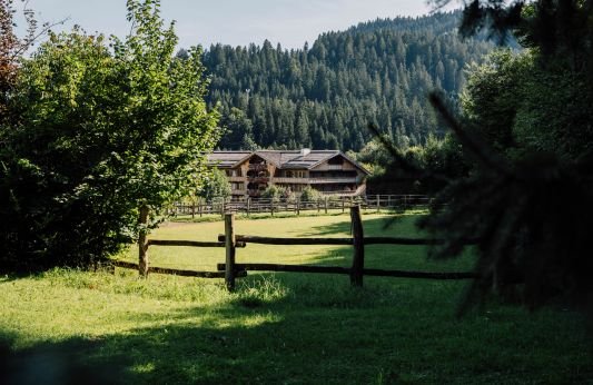 Nur bei paar Meter entfernt